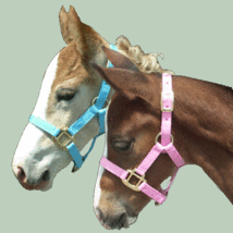 Foal Halter Newborn Suckling Colt or Filly - Choice of Light Pink or Bab... - $20.00