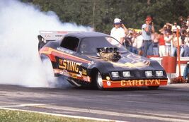 Larry Coogle's STING Trans-Am  1/24 or 1/25th Scale FUNNY CAR Decal - $20.79