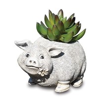 Stone Resin Mini Pig Planter - £23.97 GBP