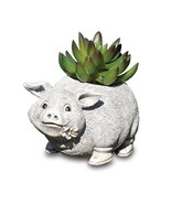 Stone Resin Mini Pig Planter - $29.99