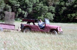President Ronald Reagan drives Jeep with Millie the dog at his Ranch Photo Print - £7.02 GBP+