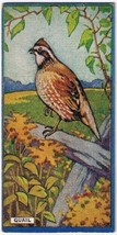 Cowan Co Toronto Card Quail Canadian Bird Series - $9.89