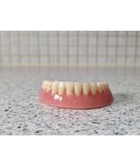 Full Lower Dentures/False Teeth, Brand New Made from Dental Acrylic. - $95.00