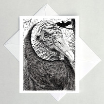 Black Vulture Note Cards - $4.25+