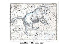 Ursa Major - The Great Bear by Alexander Jamieson - Art Print - £17.68 GBP+