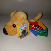 Big Head First Yellow Lab Puppy Dog Plush Stuffed Animal Toy Playville 2003 wTAG - $14.80