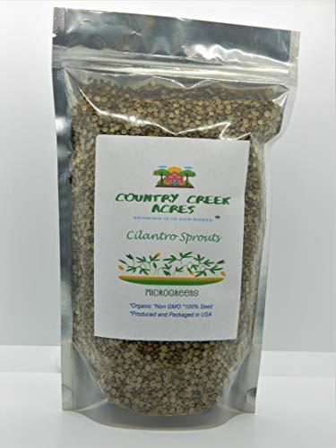 Cilantro Seed, Sprouting Seeds, Microgreen, Sprouting, 15 OZ, Organic Seed, Non