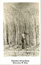 RPPC Exaggeration &quot;Wheat So Big&quot; Schiefer&#39;s Drug Store Kenmare ND Postcard C10 - $16.37