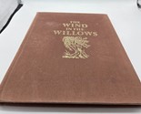 The Wind in the Willows | Kenneth Grahame | Ariel Books | Illustrated | ... - $9.89