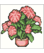 Caladium Florida Sweetheart Cross Stitch Pattern | Plant PDF Houseplant - $3.99