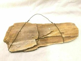 Natural Petrified Wood Specimen Cut Tree Fossil Display Unpolished 5 Lbs... - £62.94 GBP