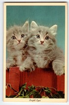 Bright Eyes Smoky Grey Kitten Cats Postcard Chrome Unposted Vintage Curt Teich - £6.64 GBP