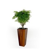 DTY Signature Composite Self-watering Cylinder Square Planter Box - High - £151.47 GBP+