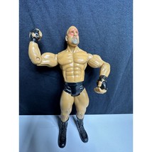 2003 Jakks Pacific WWE Goldberg Wrestling Figure Ruthless Aggression RAW Loose - $14.84