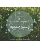 Mellow Moment: Magical Journey Hypnotic Audio mp3 - £0.00 GBP