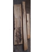 3 Large Black Walnut Wood Slabs Blocks 4 Foot 2 Foot - £62.76 GBP
