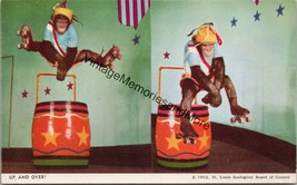 Up and Over! 1952 St. Louis Zoo Postcard PC322 - £13.58 GBP