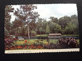 Silver Springs Glass Bottom Boats in Florida Post Card - £7.44 GBP