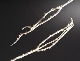 Starry Lights White LED 10 Foot Long String of Christmas Lights - $19.98