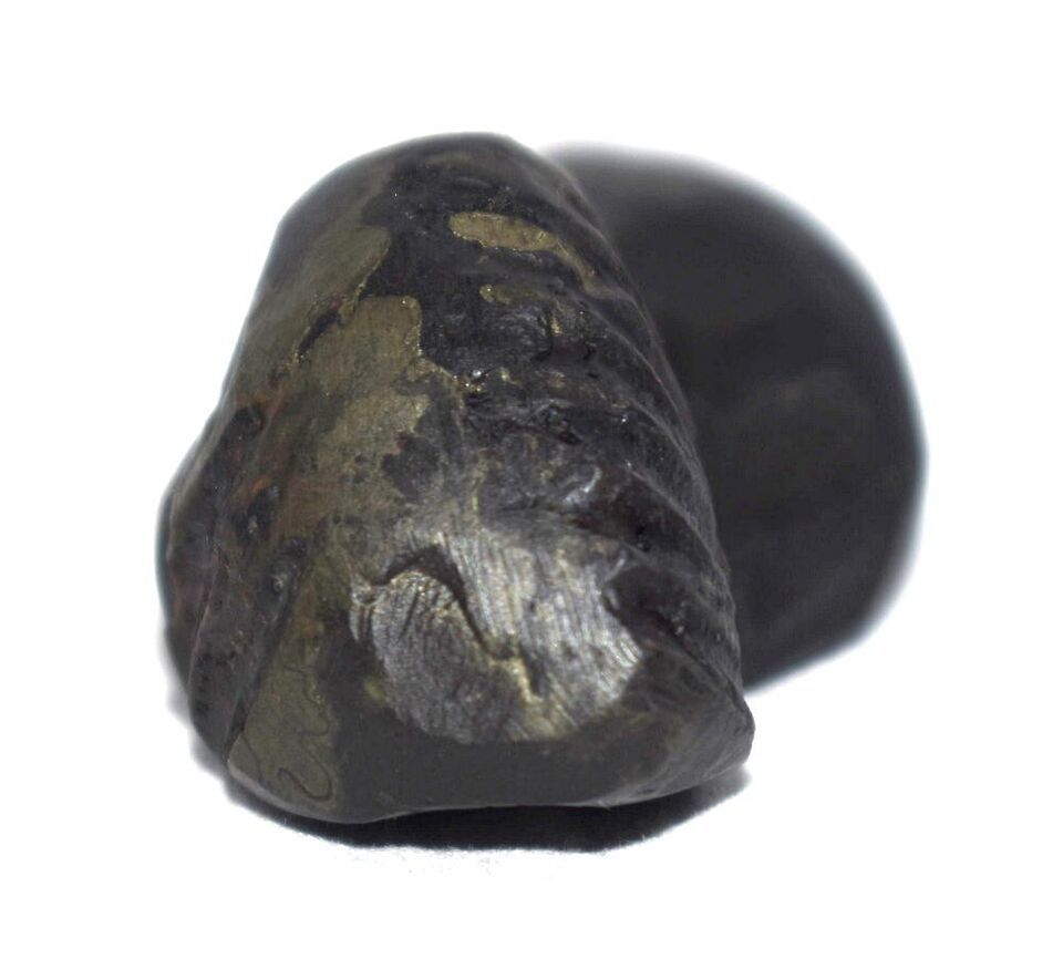 Sacred Shesha Ananta Shaligram - Gandaki River Nepal Item image 6