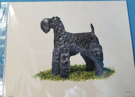 Kerry Blue Terrier Dog Lithograph Art Print Picture by Ole Larsen 1950&#39;s - £27.93 GBP
