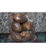 COROSA NUTS FROM CENTRAL AMERICA OILS EXTRACT NEW IN PACKAGE 2036-1 - £2.19 GBP