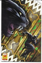 Black Panther (2018) #25 Coello Stormbreakers Var (Marvel 2021) - £5.27 GBP