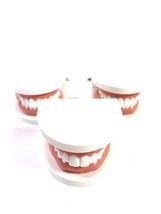 QTY-3 Pairs Dental Typodont Tooth Model Standard Teaching Demonstration ... - $31.00