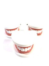 QTY-3 Pairs Dental Typodont Tooth Model Standard Teaching Demonstration 28-Teeth - £24.78 GBP