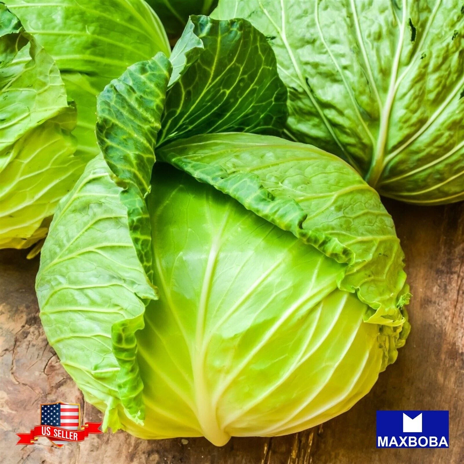 Cabbage Fresh  Seeds - Drumhead Non-GMO  Heirloom Vegetable Garden - $8.32