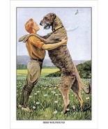 Irish Wolfhound by Louis Agassil Fuertes - Art Print - £17.57 GBP+