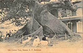 Nassau New Providence Bahamas~Native Under Silk Cotton Tree~Sands Photo Postcard - £4.10 GBP