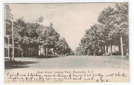 Main Street West Monticello New York 1908 postcard - £5.44 GBP