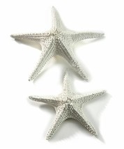 Starfish Figurines Set  2 Large White Poly Stone Nautical Beach 15&quot; and 11&quot; Long - £62.94 GBP