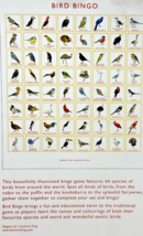 BIRD BINGO Game Illustrated by Christine Berrie Magma For Laurence King - NEW image 3