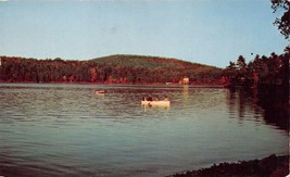 Spofford Lake New Hampshire Monadnock Region~Fall Folliage~Boats Postcard 1956 - £8.75 GBP