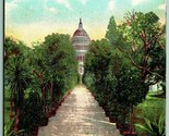 Avenue of Palms Botanical Gardens Washington DC UNP Unused DB Postcard H10 - $6.88