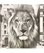 1966 Dreyfus Fund Zamba MGM Lion Advertisement Investments Financial DWII31 - €26,14 EUR