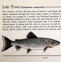 Lake Trout 1939 Fresh Water Fish Art Gordon Ertz Color Plate Print PCBG20 - $42.03 CAD