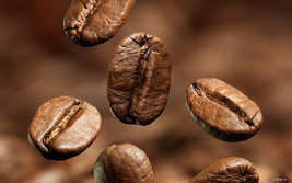 Mountain Select - Gourmet Fresh Roasted Coffee - 1/2 lb  -  Whole Bean - £8.66 GBP