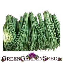 Dark Green Yard Long Bean Seeds 10 Seeds Non-Gmo Garden Seeds Fast Shipping - £7.09 GBP