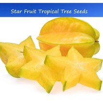 Tropical Seeds Starfruit Tree 10 Seeds See Listing Averrhoa Carambola Fast Ship  - $17.68