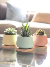 Assorted Chez Juju 3&quot; Round Ceramic Succulent Pots In Blue, Pink, And Yellow - $37.94