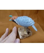 (Y-BIR-QU-47) Quail tan white blue bird gemstone STONE figurine Peru quails - $40.19