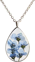 Forget Me Not Pressed Flower Necklace, Blue Floral, Real Dried, Botanical Nature - £16.72 GBP