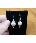 DP1-21a REAL DINOSAUR POOP 12mm bead dangle EARRINGS Utah ancient Dino C... - $348.35 MXN