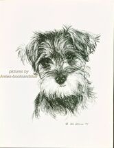 #10  SCHNAUZER PUP  portrait dog art print * Pen and ink drawing * Jan J... - $12.50