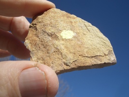 Jtl: Jurassic Todilto Limestone Uranium Rock 79k 1.3 Oz. $32.00 +$9.50 s/h - £25.57 GBP