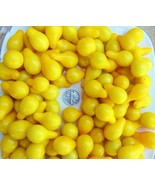 THJAR Yellow Pear  - Great In Salads! - +30 Seeds - Buy any 3 varieties,... - €4,09 EUR