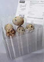 12 hole quail egg cartons for jumbo quail eggs 50 count - £21.34 GBP